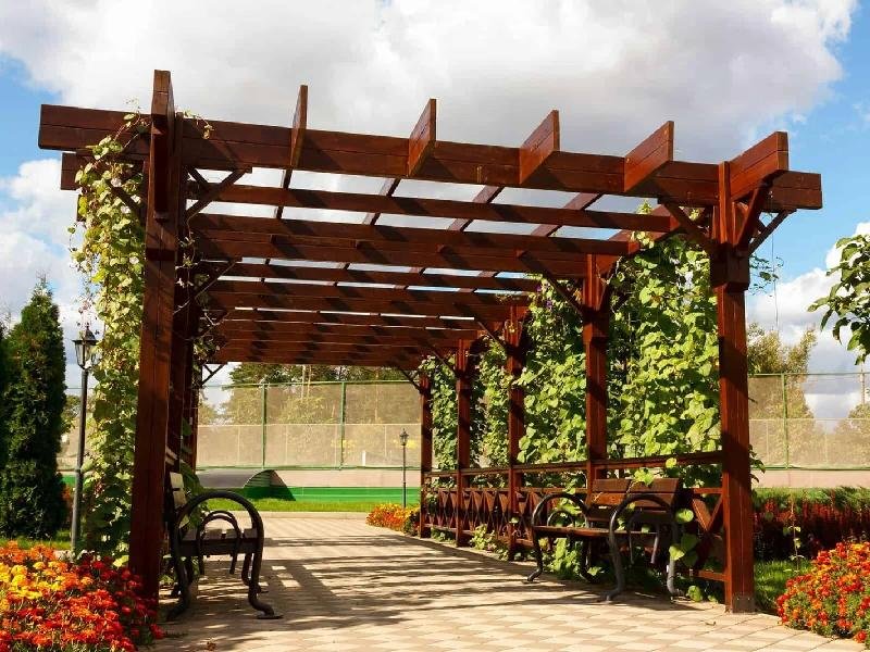 Dark-stained wooden pergola covered with climbing vines in a landscaped backyard, painted and stained by Lagunas Painting in the Treasure Valley, Idaho